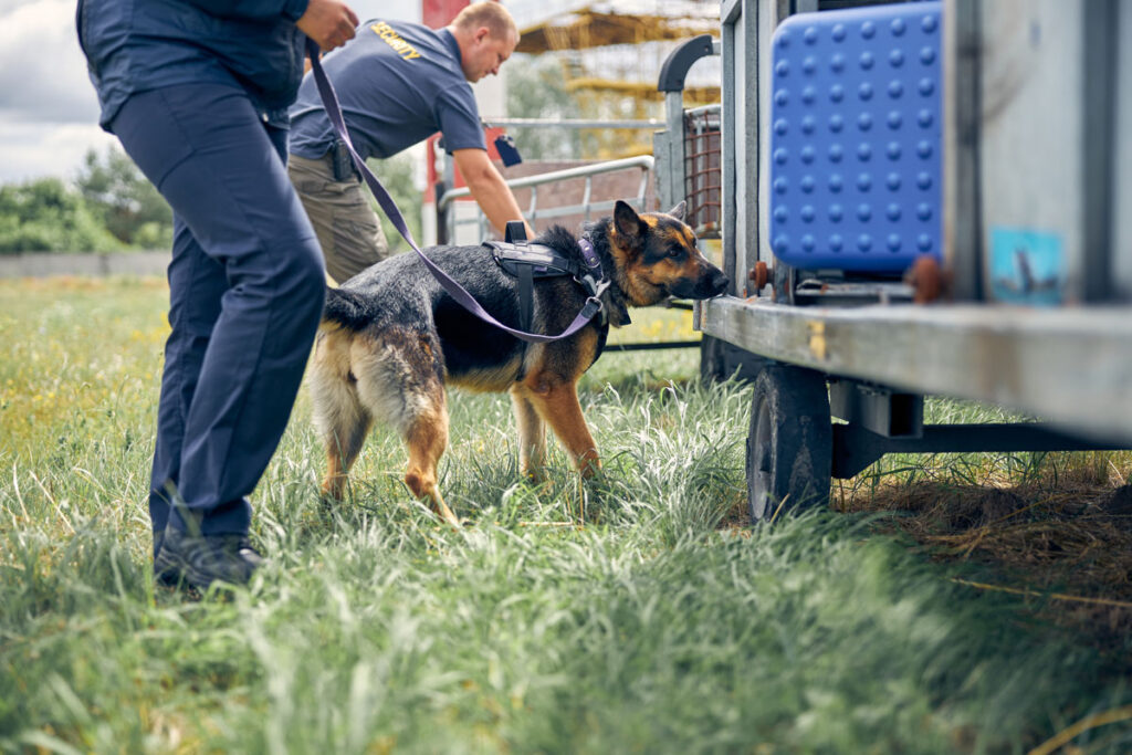 Core Skills for Front-line Migration Investigators